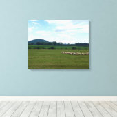 Weideschaf Leinwanddruck (Insitu (Holzboden))