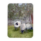 Weideschaf Magnet (Vertikal)