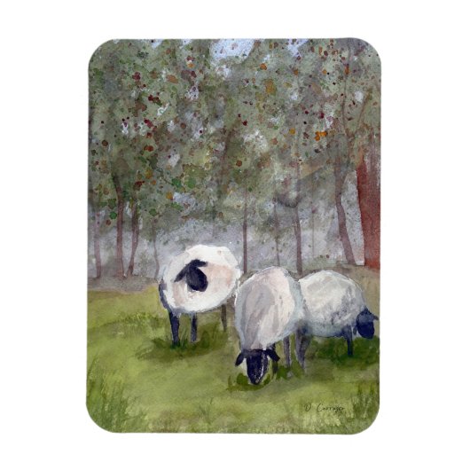 Weideschaf Magnet (Vertikal)