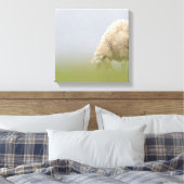 Weideschaf-Natur-Foto Leinwanddruck (Insitu (Schlafzimmer))