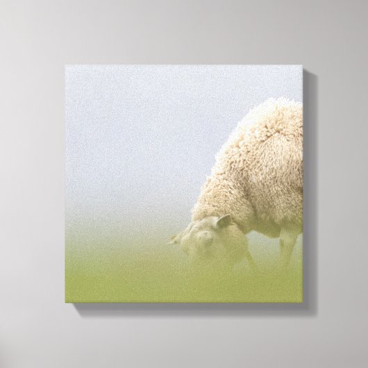 Weideschaf-Natur-Foto Leinwanddruck (Vorderseite)