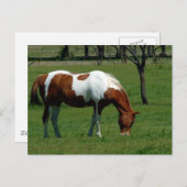 Weidestangen Postkarte (Vorne/Hinten)