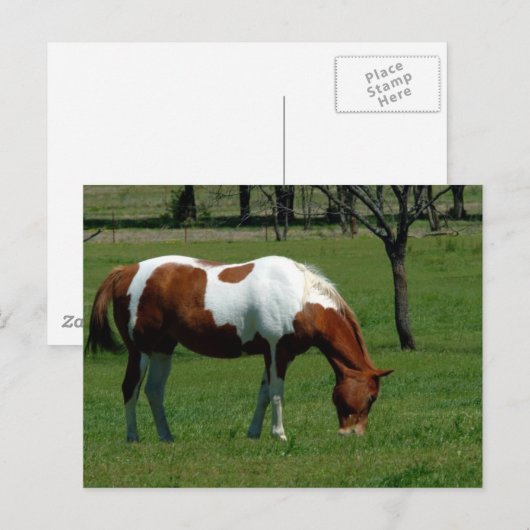 Weidestangen Postkarte (Vorne/Hinten)