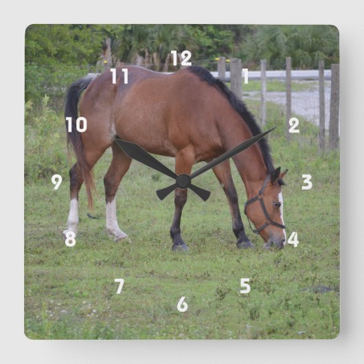 Weidetier Runde Wanduhr (Vorderseite)