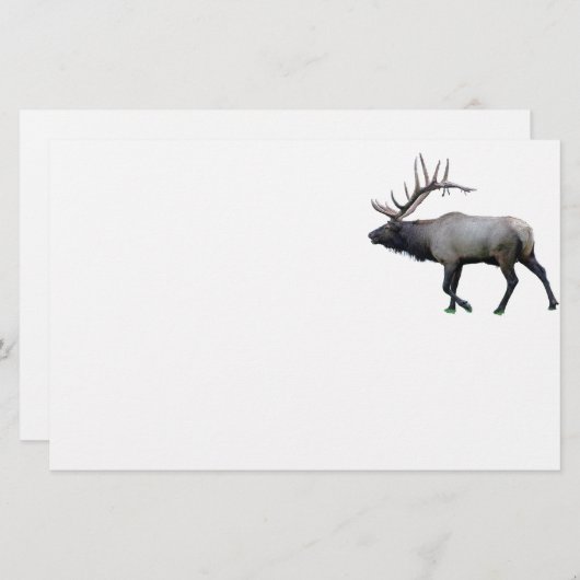 WeideWapitielche Briefpapier (Vorne/Hinten)