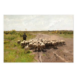 Weidewechsel 1887 von Anton Mauve Fotodruck