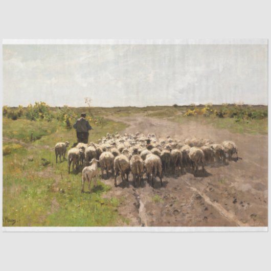 Weidewechsel 1887 von Anton Mauve Seidenpapier (Vorderseite)