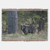 Weidewild Schwarzer Bär Wildlife Foto Decke (Vorderseite)