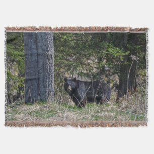 Weidewild Schwarzer Bär Wildlife Foto Decke