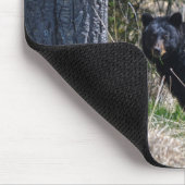 Weidewild Schwarzer Bär Wildlife Foto Mousepad (Ecke)