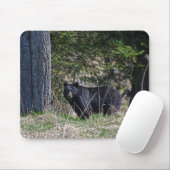 Weidewild Schwarzer Bär Wildlife Foto Mousepad (Mit Mouse)
