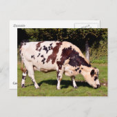 Weidewirtschaft Postkarte (Vorne/Hinten)