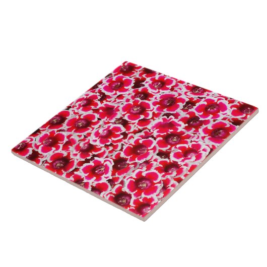 Weigela Florida Flower Fliese (Seite)