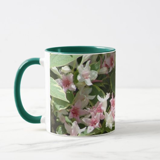 WEIGELIA-Tasse Tasse (Links)