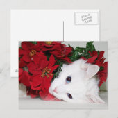 Weihnachten (Vorne/Hinten)