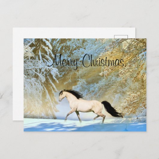 Weihnachten (Vorne/Hinten)