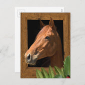 Weihnachten (Vorne/Hinten)