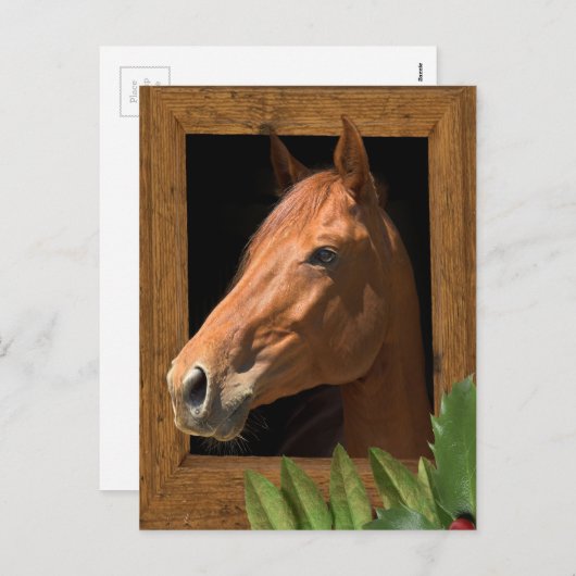 Weihnachten (Vorne/Hinten)