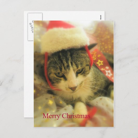 Weihnachten (Vorne/Hinten)