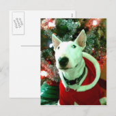 Weihnachten (Vorne/Hinten)