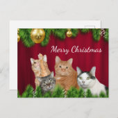 Weihnachten (Vorne/Hinten)