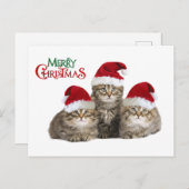 Weihnachten (Vorne/Hinten)