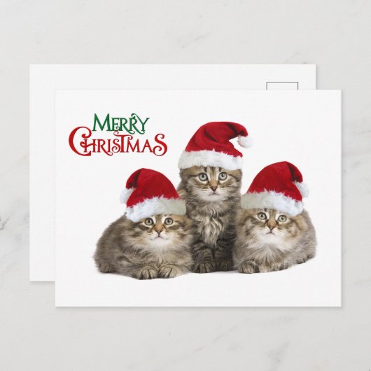 Weihnachten (Vorne/Hinten)