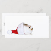 Weihnachten (Vorne/Hinten)