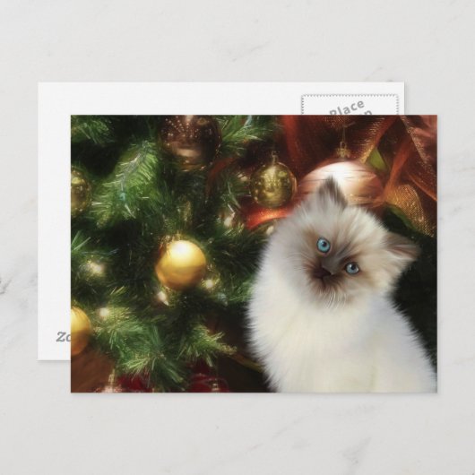 Weihnachten (Vorne/Hinten)