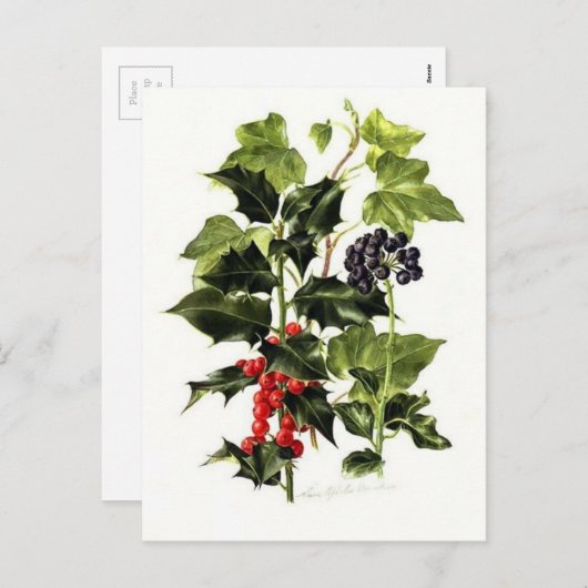 Weihnachten (Vorne/Hinten)