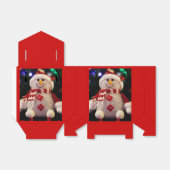 Weihnachten 036 geschenkschachtel (Ungefaltet)