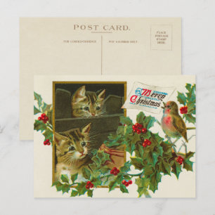 Weihnachten 1911 Katzen mit Vogel Fröhliche Weihna