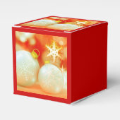 Weihnachten 2010 geschenkschachtel (Vorderseite)