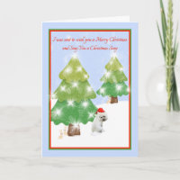 Weihnachten 2020 mit Sad Dog