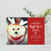 Weihnachten 2021 Red Ruff Year Hund Foto (Stehend Vorderseite)