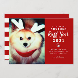 Weihnachten 2021 Red Ruff Year Hund Foto