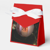 Weihnachten 2023 geschenkschachtel (Vorderseite)