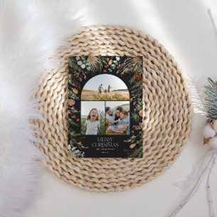 Weihnachten 3 Foto Botanischer Botanischer Blumeng