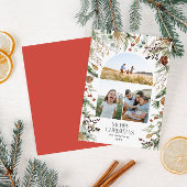 Weihnachten 3 Foto Botanischer Botanischer Blumeng