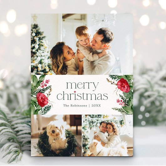 Weihnachten 3 Foto Winter Botanische Grünanlagen