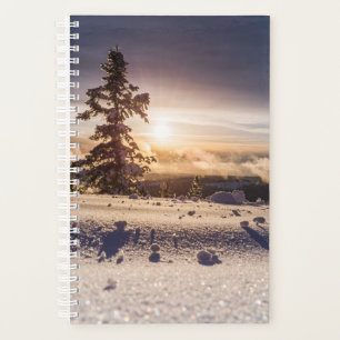 Weihnachten 91 planer