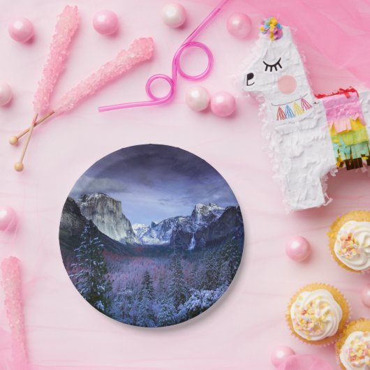 Weihnachten 94 pappteller (Party)