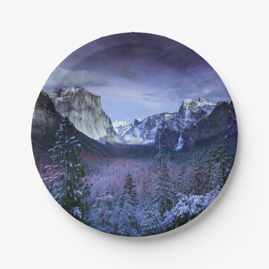 Weihnachten 94 pappteller (Vorderseite)