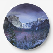 Weihnachten 94 pappteller (Vorderseite)