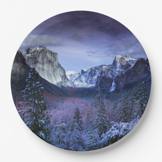 Weihnachten 94 pappteller (Vorderseite)