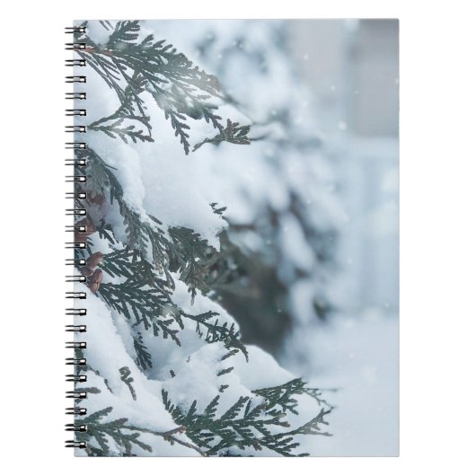 Weihnachten 95 notizblock (Vorderseite)
