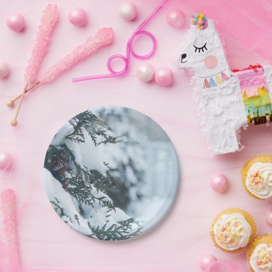 Weihnachten 95 pappteller (Party)