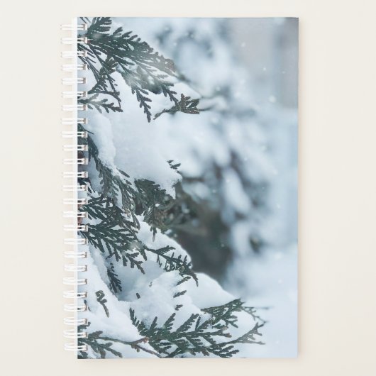 Weihnachten 95 planer (Vorderseite)