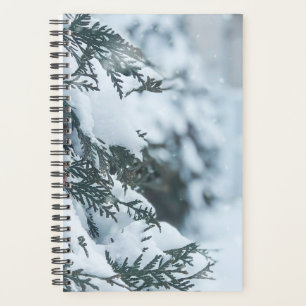 Weihnachten 95 planer