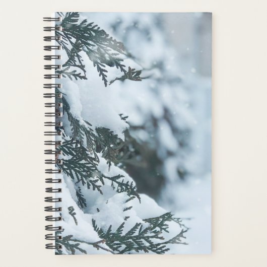 Weihnachten 95 planer (Vorderseite)